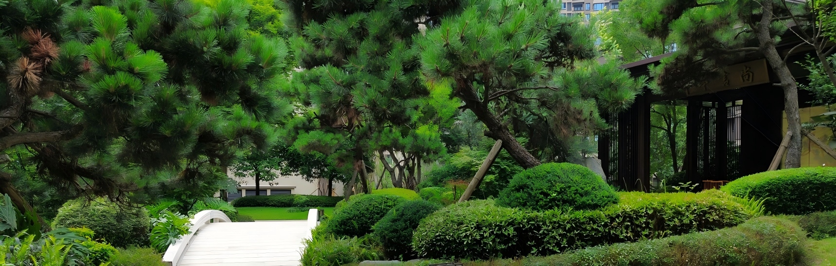 青神·万景·進園